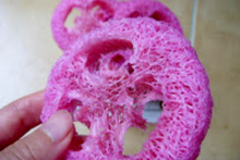 Loofah-Cat-Dental-Chew