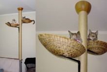 PVC-Basket-Cat-Tree