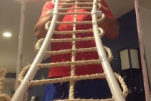 PVC-Bird-Ladder