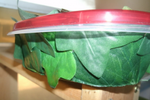 Plastic-Container-Humidity-Hide1