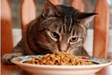 Sardines-Wheat-Germ-Cat-Treats