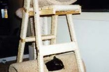 Step-Ladder-Cat-Tree
