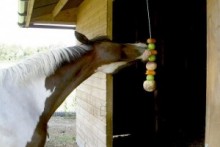 String-Kabob-Horse-Toy