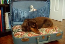 Suitcase-Pet-Bed