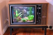 TV-Fish-Tank