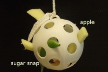 Wiffle-Ball-Foraging-Toy
