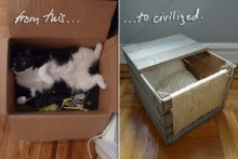 Wood-Crate-Cat-Bed