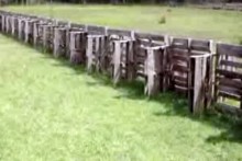 Wood-Pallet-Farm-Fence