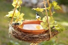 Wreath-Plate-Bird-Bath