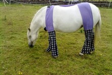 DIY Horse Allergy Trousers