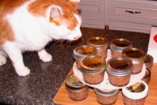 DIY-Canned-Cat-Food