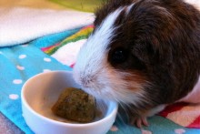 DIY Vegetable Ice Cube Treat