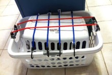 Laundry-Basket-Cat-Carrier
