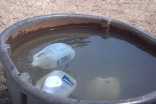 Plastic-Bottle-Trough-Cooling