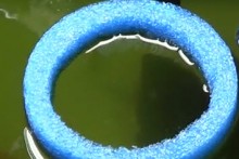 Pool-Noodle-Feeding-Ring