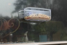 stick to window bird feeder