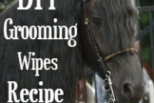 DIY-Horse-Grooming-Wipes