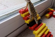 DIY-Lego-Lizard-Stairs