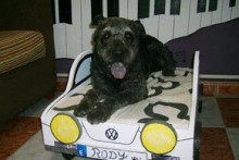 DIY-Car-Shaped-Dog-Bed