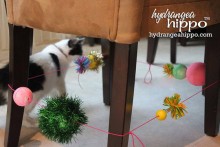 DIY-Elastic-Chair-Cat-Toy