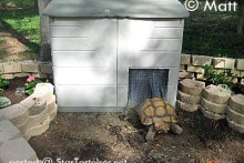 DIY-Heated-Tortoise-House