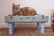 DIY-Suitcase-Cat-Bed
