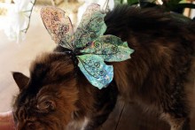 DIY-Cat-Fairy-Wings