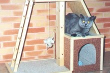 DIY-Cat-Playground