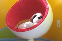 DIY-Dog-Ball-Chair