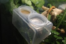 Plastic-Container-Bowl-Holder