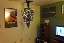 DIY-Cat-Proof-Christmas-Tree