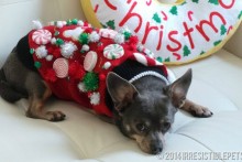 DIY-Dog-Christmas-Sweater Embellishments