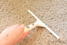Squeegee-Carpet-Hair-Removal