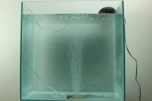 DIY-Glass-Aquarium