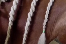 DIY-Horse-Unicorn-Braid