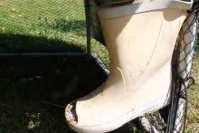 DIY-Rubber-Boot-Feeder