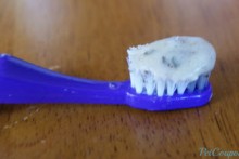 Coconut-Oil-Dog-Toothpaste