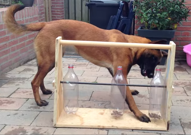 DIY Dog Treat Dispenser Toy