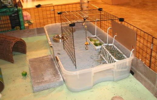 plastic tote guinea pig cage