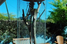DIY-Hanging-Planter-Enclosure