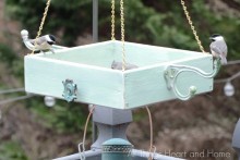 DIY-Wood-Box-Bird-Feeder