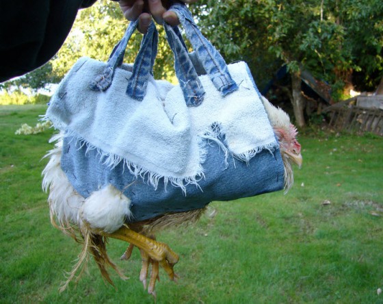 Chicken purse deals