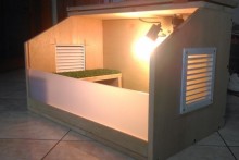 DIY Heated Tortoise House - petdiys.com