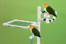 PVC-Bird-Stand