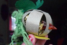 Toilet-Roll-Foraging-Ball