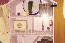 DIY-Dollhouse-Hamster-Cage