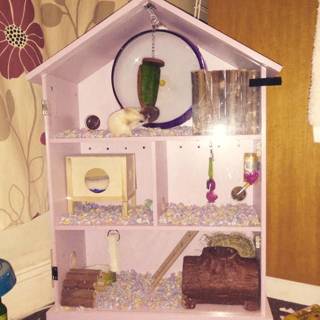 DIY Dollhouse Hamster Cage - petdiys.com