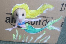 DIY-Hamster-Box-Photo-Cutout