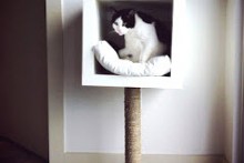 DIY-Wall-Cubby-Cat-Tower