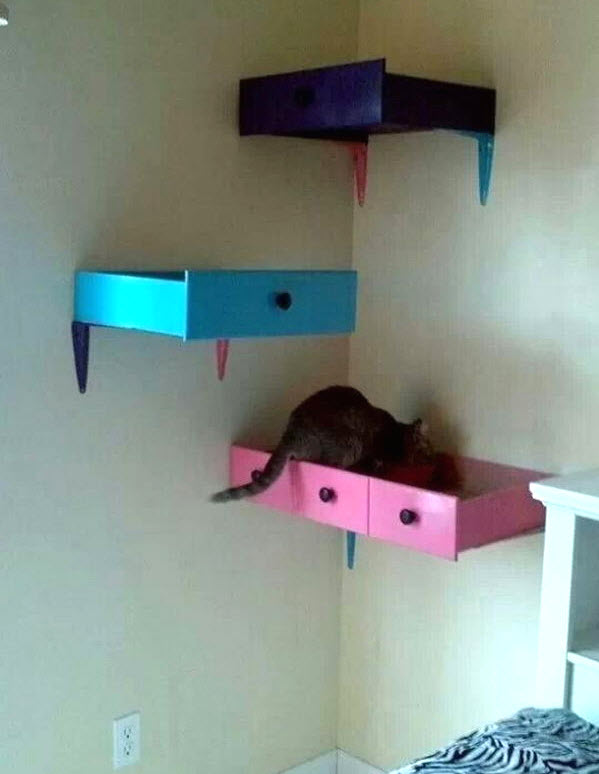 Drawer Cat Shelf Petdiys Com, How To Make Shelves For Cats